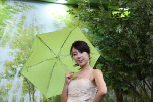KOBA 2010 모델 포토존