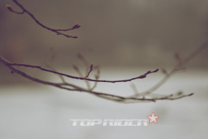 [슬로캠핑] 겨울의 끝자락에서 봄이 움터 나오다, 양주 씨알캠핑장