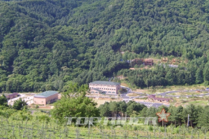 [솔로캠퍼의 슬로캠핑] 수도권 산소 탱크 가평으로 캠핑 떠나요