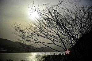 [솔로캠퍼의 슬로캠핑] 강바람에 잠들다, 양평 강변캠핑장