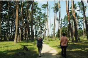 한국타이어, ‘강릉 바우길 느리게 걷기’ 실시