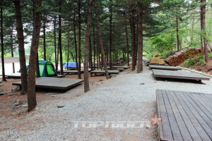 [마주 보는 여행] 유명산 계곡 따라 즐기는 산행과 캠핑