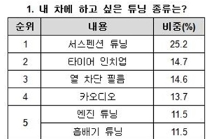 [부스터] 서스펜션 튜닝의 기본 원리와 장점