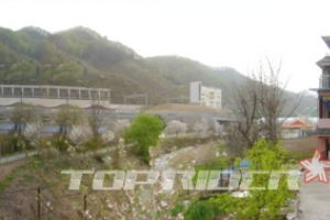 대학생 MT를 넘어 가족 나들이로도 각광받는 강촌